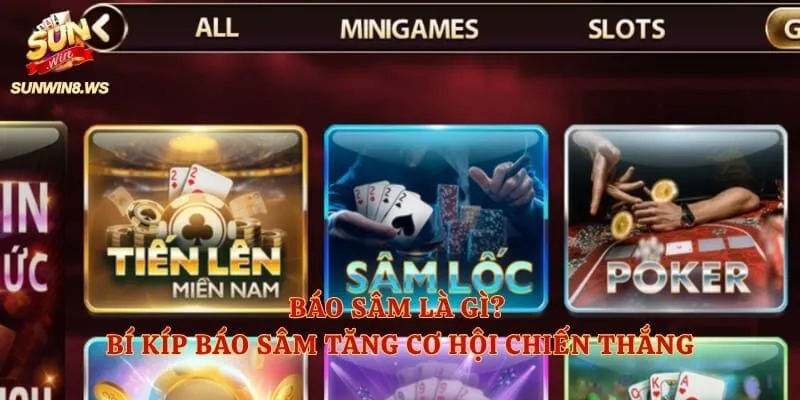 Báo Sâm Là Gì? Bí Kíp Báo Sâm Tăng Cơ Hội Chiến Thắng