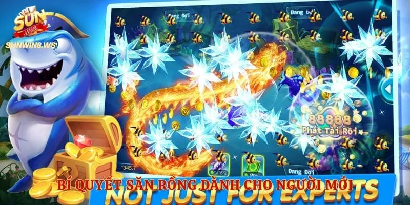 Bí quyết săn rồng dành cho người mới
