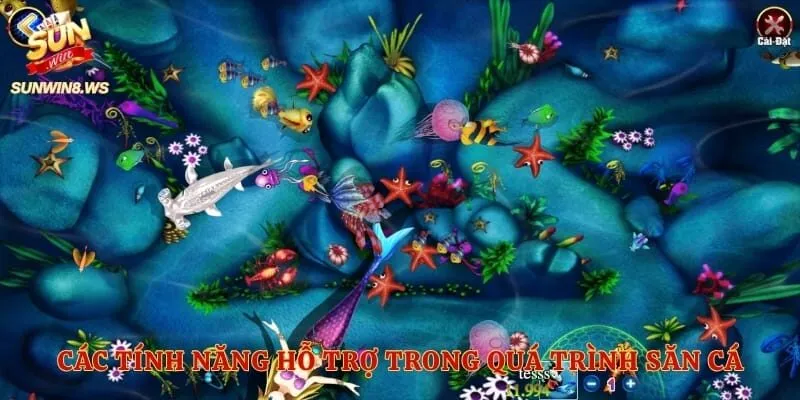 Các tính năng hỗ trợ trong quá trình săn cá