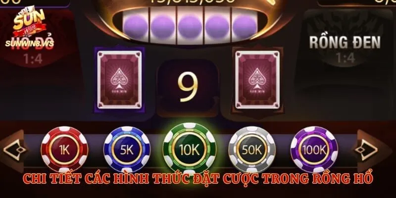 Chi tiết các hình thức đặt cược trong rồng hổ