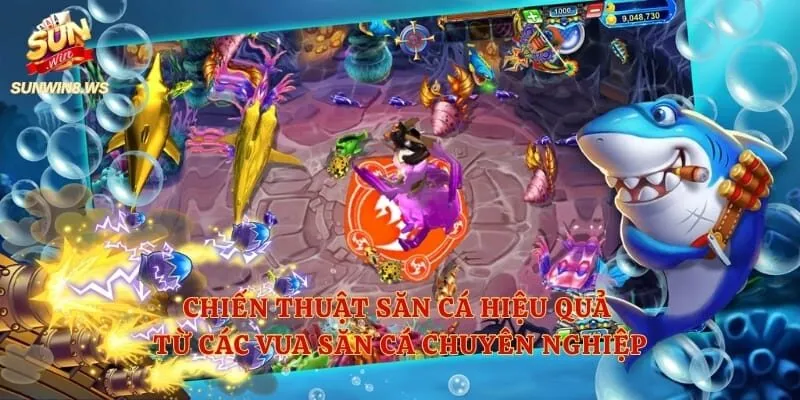 Chiến thuật săn cá hiệu quả từ các Vua săn cá chuyên nghiệp