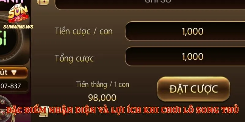 Đặc điểm nhận diện và lợi ích khi chơi lô song thủ