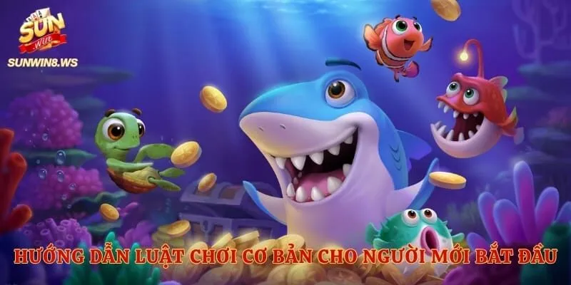 Hướng dẫn luật chơi cơ bản cho người mới bắt đầu