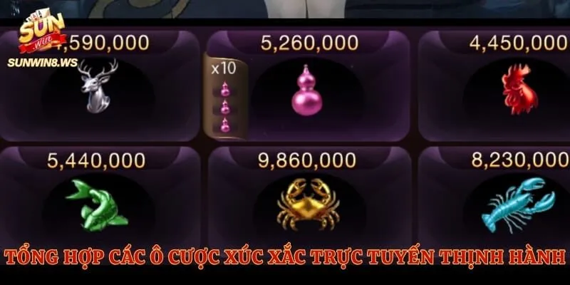 Tổng hợp các ô cược xúc xắc trực tuyến thịnh hành